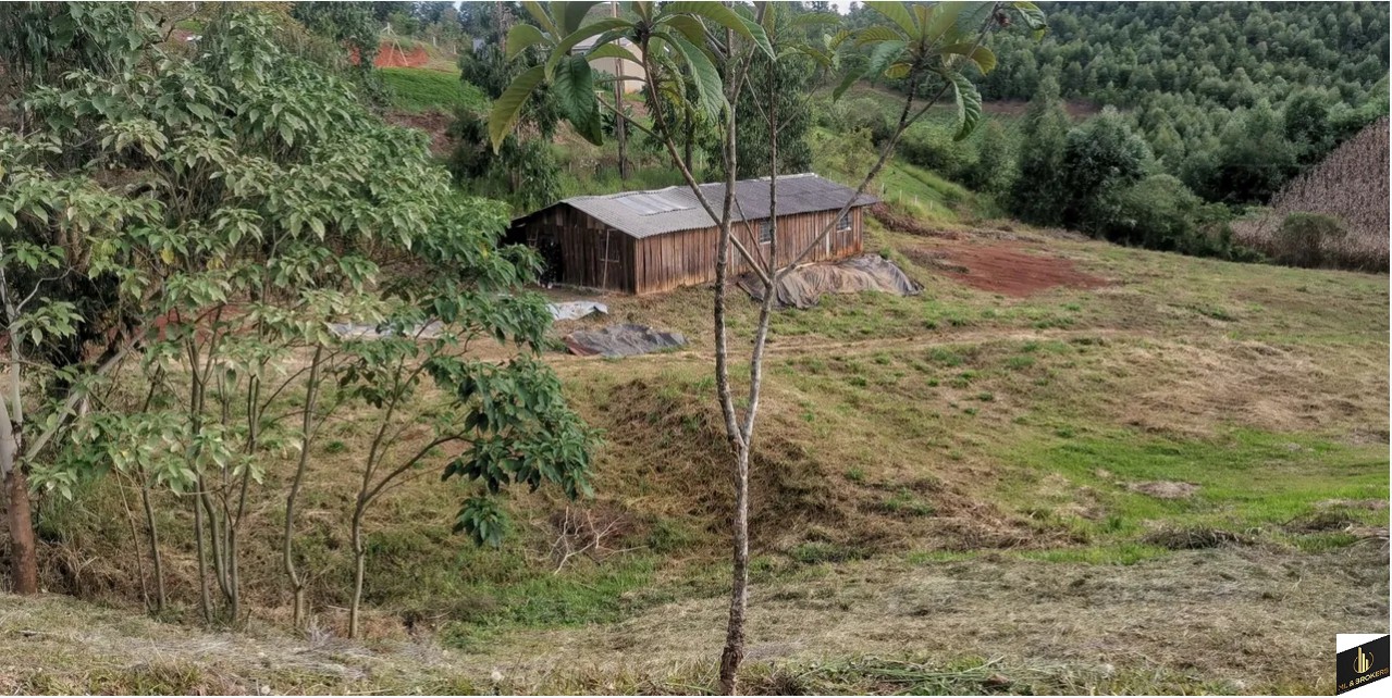 20.000M2/03 SUITES/350M2 CONSTRUÇÃO/PISCINA/ESCRITURADA